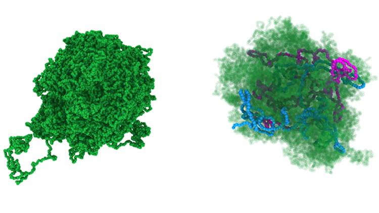 RNA RNA2