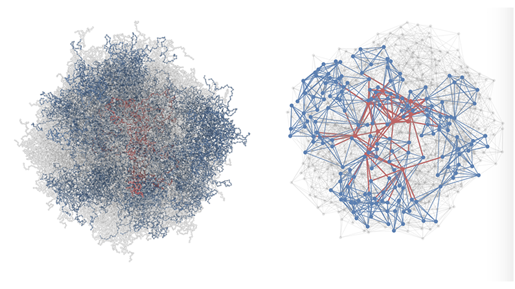 network