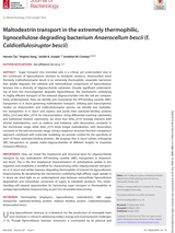 2025 Tjo JBacteriol