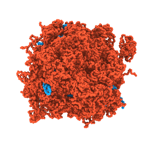 FUS RNA