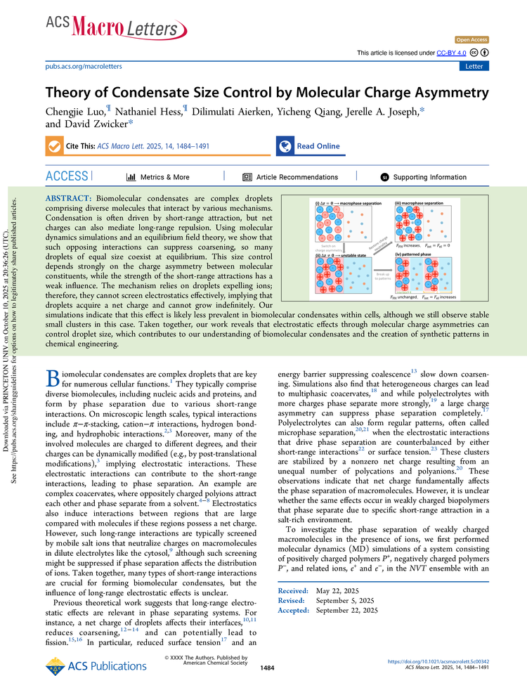 2025 ACS Macro Lett